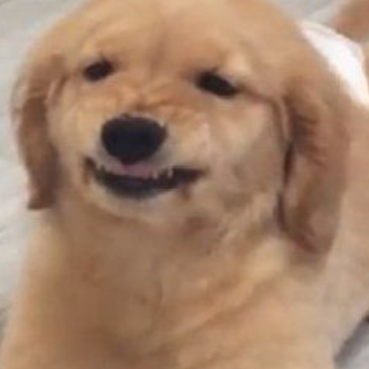 marblxom's tweet photo. i see no difference https://t.co/xkEhv5iIqZ