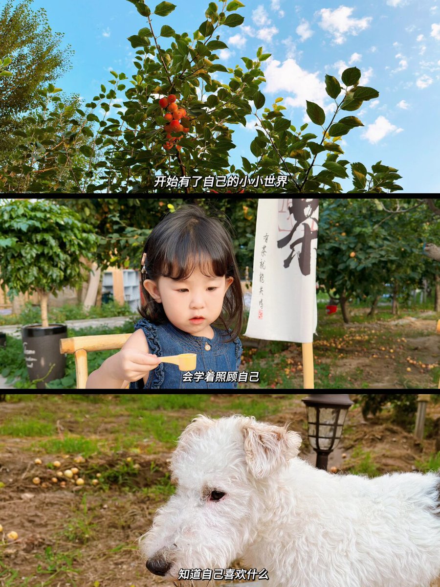 VINCENZOSIMEOL1's tweet photo. [Today’s adventure: building a mini fairy garden with my 5-year-old! Digging dirt, chasing crumbs, and laughing so hard I snort—best Sunday ever  #亲子时光 #小���幸]， https://t.co/YO0CTregzF