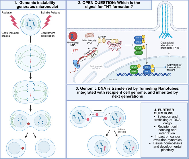 MolecularCell tweet picture