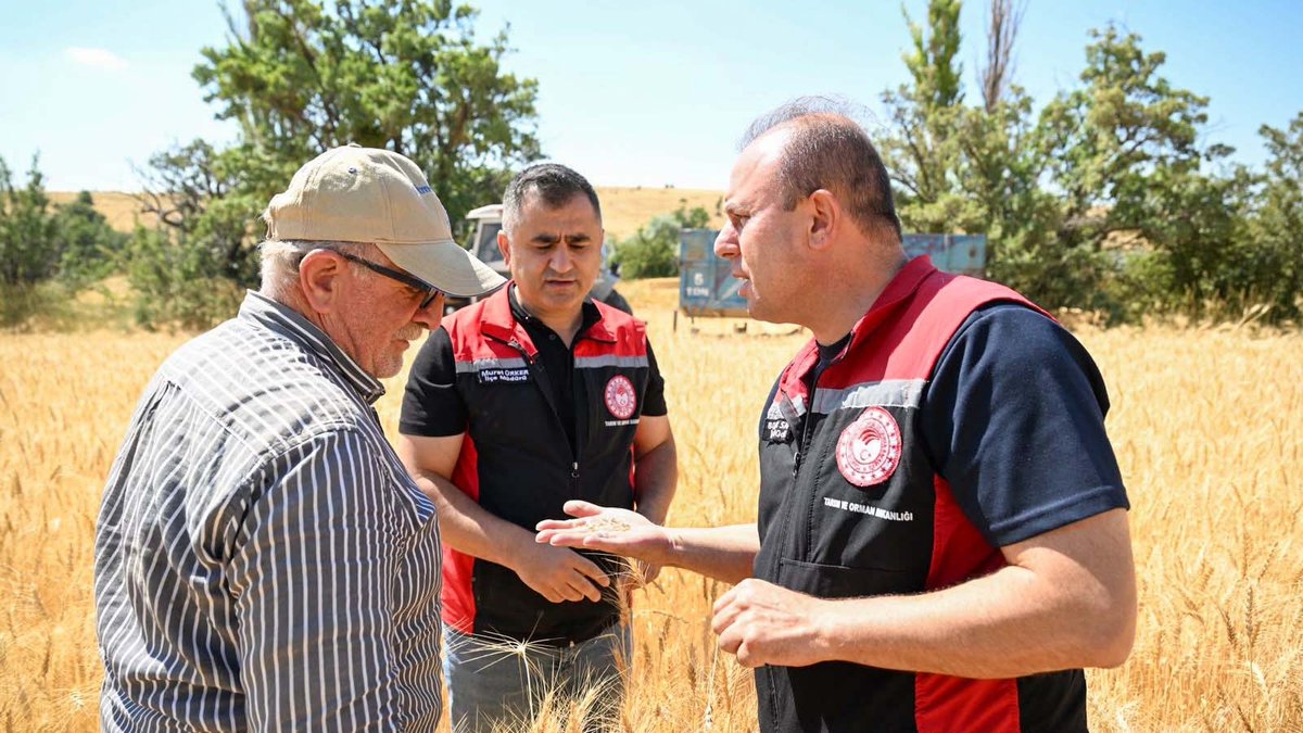 kayseritarimorm's tweet photo. 📍 KAYSERİ

🌾 Hasatta Her Dane Milli Servettir...

İlimizde hububat hasat sezonunun başlamasıyla Melikgazi ilçemizde, İl Müdürümüz Sayın Bülent SAKLAV, İl Müdür Yardımcımız Mehmet DEMİRBAŞ, İlçe Müdürümüz Murat ÜRKER ve Melikgazi Ziraat Odası Başkanımız Mahmut ÇELEBİ tarafından biçerdöver hasat kontrolleri gerçekleştirildi. 
Üreticilerimizin emeğini korumak ve dane kayıplarını önlemek amacıyla biçerdöverlerin teknik ayarları, operatör belgeleri ve çalışma standartları denetlenmektedir.

🌾 Hasadımız Bereketli, Kazancınız Bol Olsun!

🧯 2 Adet Yangın Söndürme Tüpü
🚜💧 Enaz 3 tonluk Su Tankeri
🔥 Anız Yakmayalım! 
🛑 Yangına DUR de!
📲 112 Acil Çağrı

👨🌾 🚜 Alın teri tarlada kalmasın, bereket yangına dönüşmesin.

@ibrahimyumakli @gokmen_cicek_ @BulentSaklav @TCTarim @kayserivaliligi