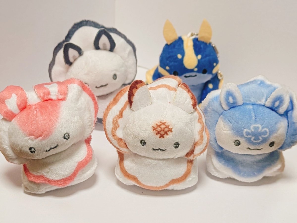 37QED's tweet photo. てのりウミウシかわい〜！！ https://t.co/HuNyeW0gyP