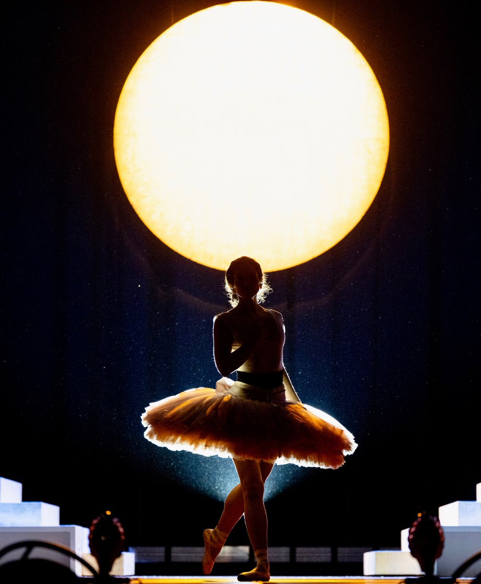 rosaliaxarchive's tweet photo. Best photos of LUX Tour: a thread https://t.co/zNnvYlhvCq