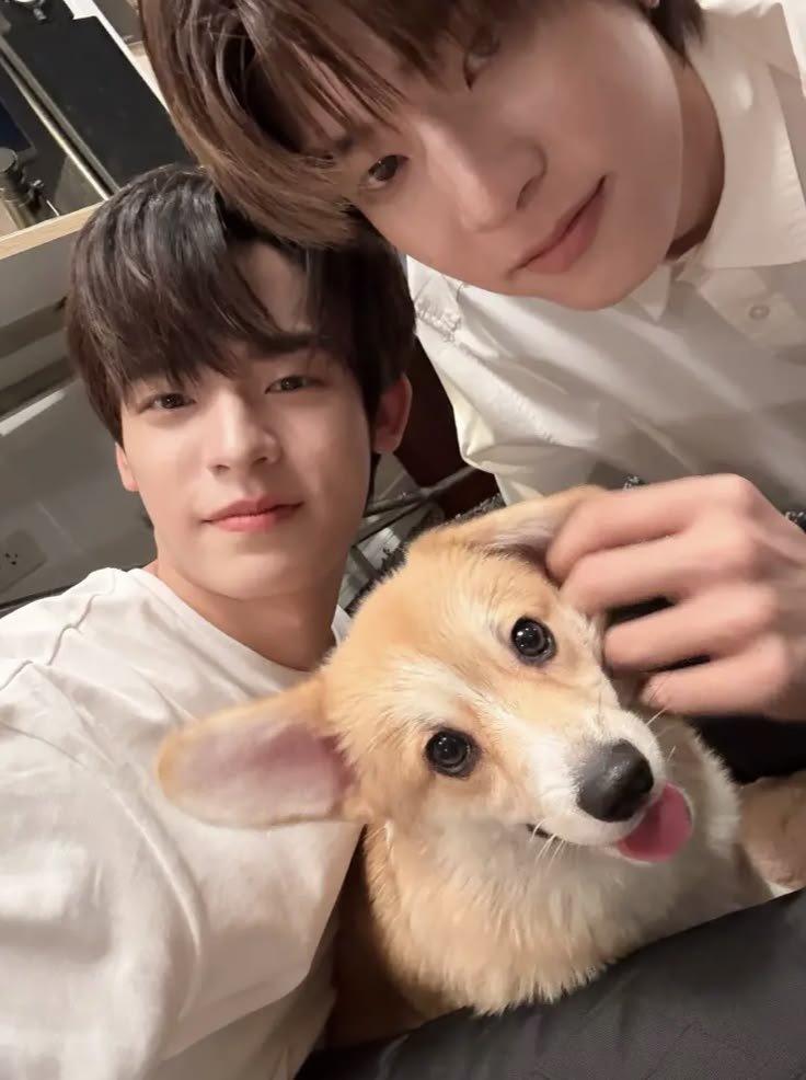 teeteeporArchv's tweet photo. #teeteepor #ตี๋ตี๋ป๋อ ✨~~ @twnpich @porsuppakarn https://t.co/KXFfasSqwx