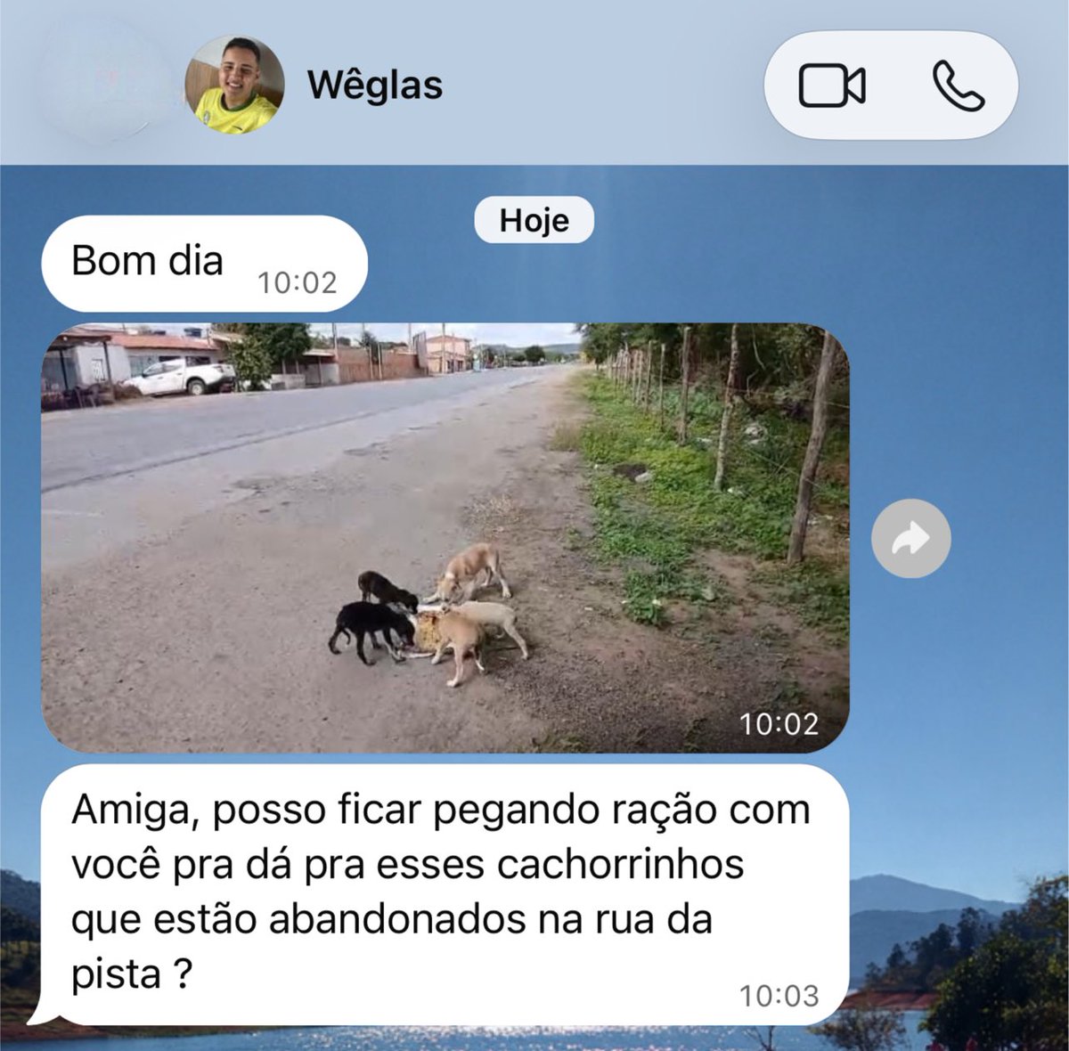 di_abrigo_davi's tweet photo. Oi, amigos. eu recebi hoje essa imagem com a mensagem que aparece ao lado. Mais cachorrinhos abandonados nas ruas do povoado. 
Hoje, eu venho aqui implorar para conseguir os 2 mil da parcela mensal do abrigo, não podemos perder o abrigo e também implorar que nos ajudem a alimentar essas vidinhas e quando chegar o tempo certo ajuda para castrar. 
Estamos precisando muito de tela, é possível encontrar na AgroVet e vamos deixar aqui o contato da loja.

Pix do abrigo 
CPF: 142.404.268-20
( Adervan dos Reis)

Contato da loja AgroVet (75) 99906-5416 para doar tela, ração para os gatos e cachorros, areia, sachês, tapetinhos higiênicos…
