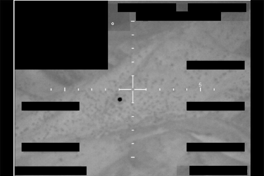 MarioNawfal's tweet photo. 🚨🇺🇸 The Pentagon just dumped 41 more UFO files, its fifth release in a matter of months...

The batch pulls from the Pentagon, FBI, CIA, State Department, and even the Executive Office of the President, with records going all the way back to 1950.

That's 76 years of material coming out in waves after decades of the government insisting there was "nothing to see here."

Loving the transparency, now let's see some aliens... 👽

Source: DoW / Writer: Daniyal