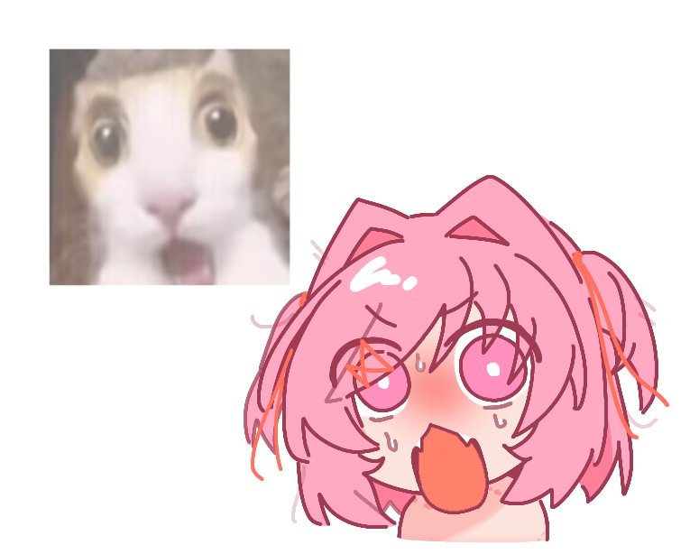YanmiFan92938's tweet photo. 猫! ?猫?！ https://t.co/sTyvDyNH3u