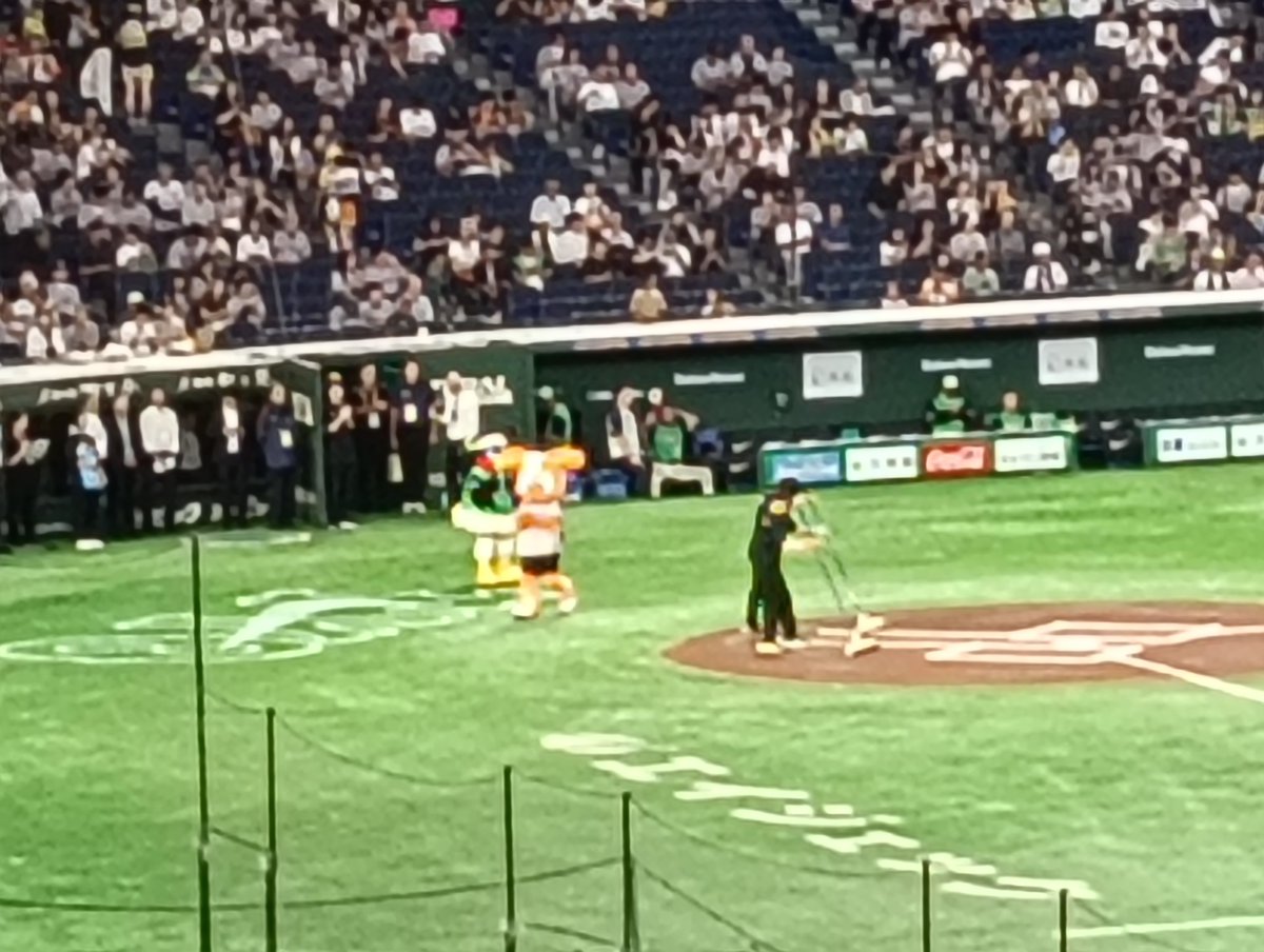 OICHAN0205's tweet photo. ジャイアンツvsスワローズ
TOKYOシリーズ
0対1だったけど、面白い試合でした！ https://t.co/scz7QJJoer