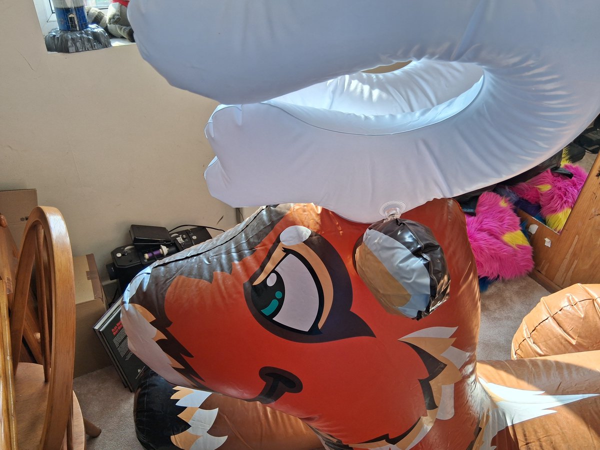 SqueakyKit's tweet photo. Forgot to share some other photo I took while this guy was filling my room for a while last week https://t.co/oi7ct5ADTi