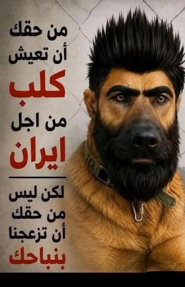 aaadhel1392's tweet photo. @FAISALMUDHISH ياخرا ياولد الخرا https://t.co/nnaZlL0Izl