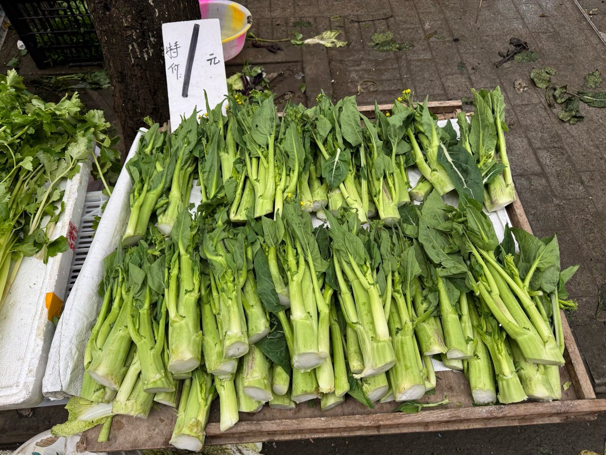 sksmith1985's tweet photo. Fresh seasonal veggies u0026 free-range eggs on sale now at the neighborhood market—perfect for your weeknight meals! Grab yours before they’re gone!， https://t.co/f9BjW7FJdC
