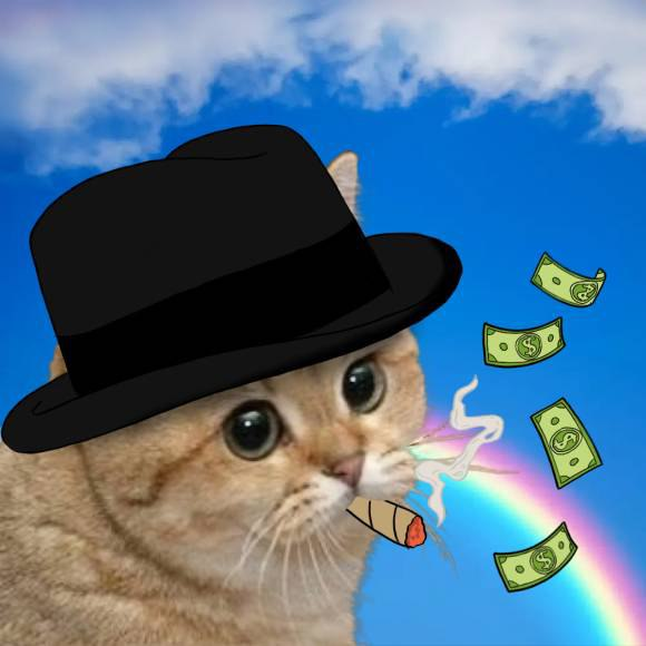 HeliaOnSolana's tweet photo. Helia always has a plan... 

 $HELIA https://t.co/K7DqTeujNc