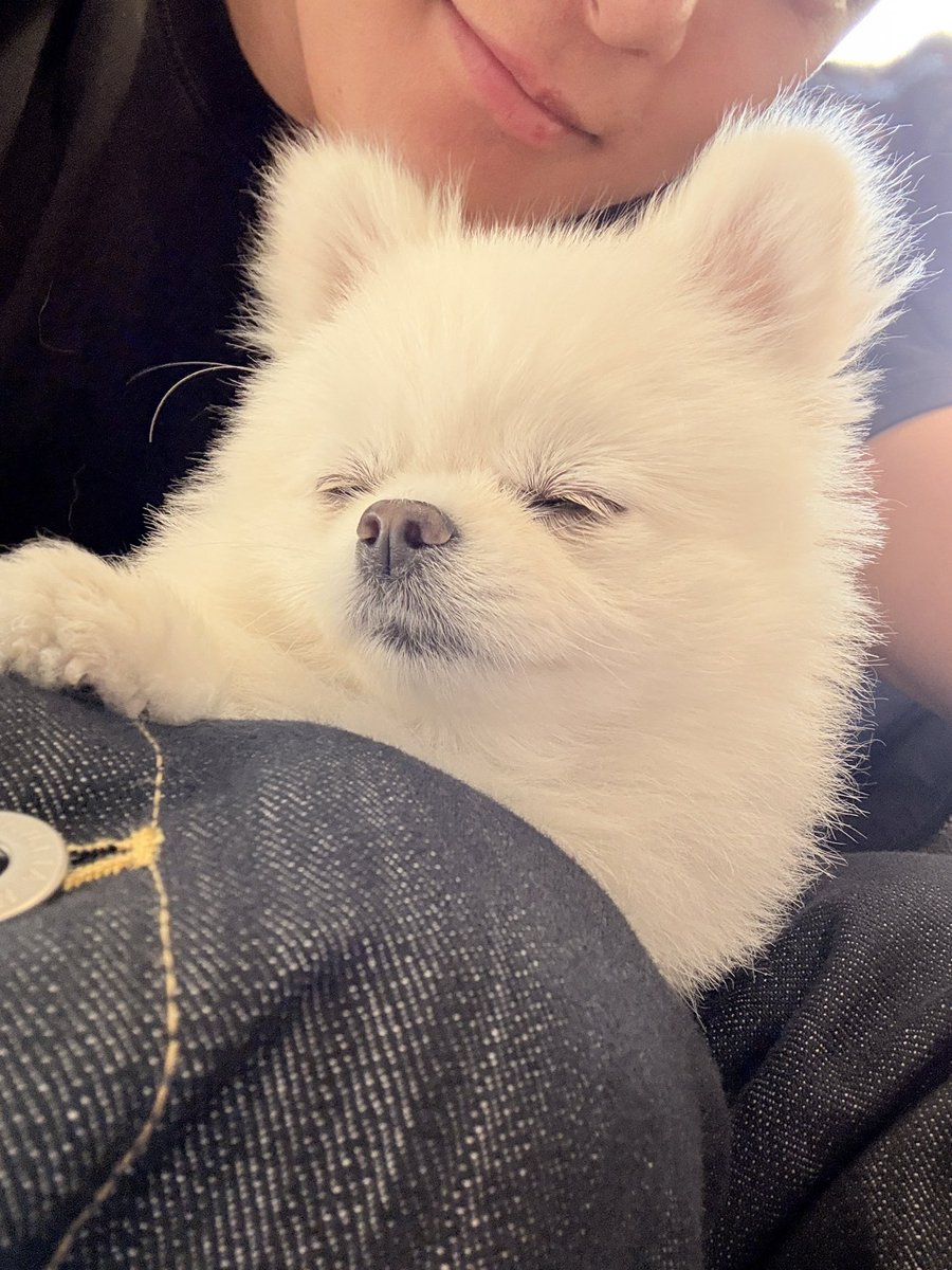 __mhale's tweet photo. 이거
5월 25일…. //// https://t.co/Dld6VuWctq