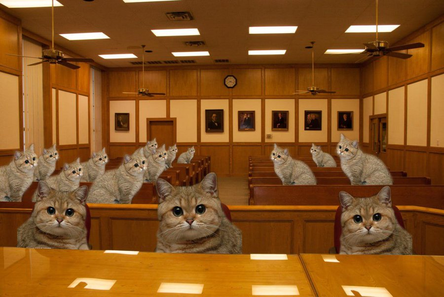 HeliaOnSolana's tweet photo. Bottom sellers, the verdict is in. The defendant WILL keep staring...  $Helia https://t.co/wQp0yM08XX