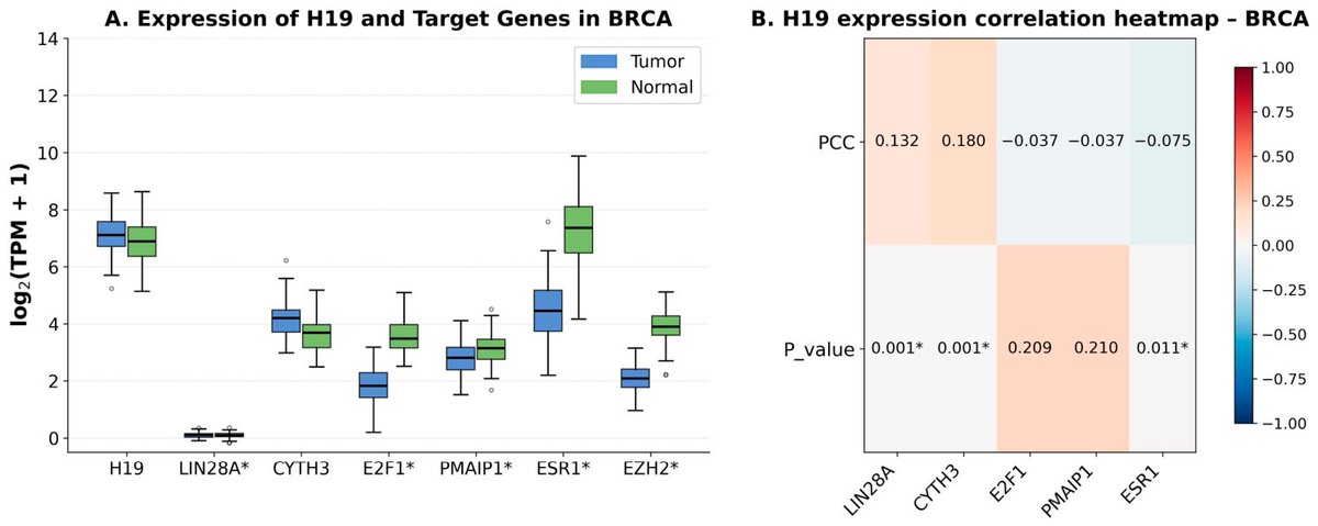 Non_Coding_RNA's tweet photo. 🔥 Highly Accessed Article

Discover how lncRNA variants in H19 and POLR2E are associated with breast cancer susceptibility in a Mexican population.

📖 https://t.co/dFsXHBTTXU

#NonCodingRNA #lncRNA #BreastCancer #RNAResearch https://t.co/WYMC3dmxUi