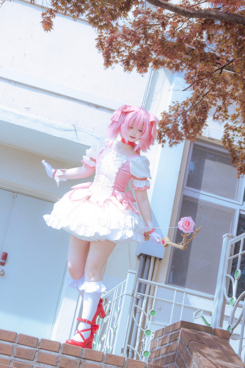 t3_0hr's tweet photo. #魔法少女まどかマギカ https://t.co/z2HJhZ08OA