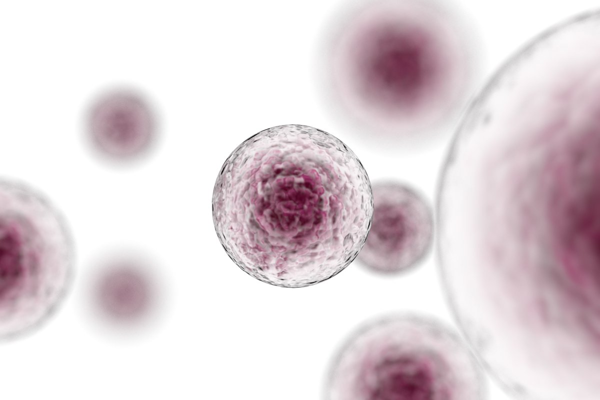 AmerigoScienti1's tweet photo. Struggling with low transformation efficiency? Upgrade your cloning workflow with Amerigo Scientific’s Competent Cells. Optimized for high-performance molecular cloning! Learn more: https://t.co/EP1vGwfWCs https://t.co/h1e3Sxnbfy