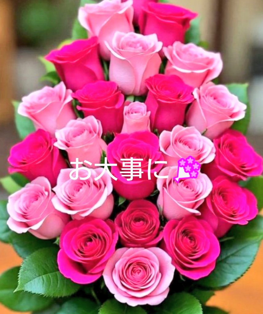 emi115542's tweet photo. @GoIchi51_AO0113 えっ😮
大丈夫ですか😟
処置してお大事になさって下さいね💐
早く良くなりますように🫶🏻 https://t.co/Jd8gYMLDE3