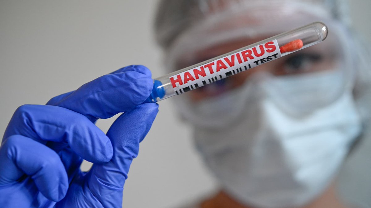 FlashInfos24's tweet photo. 🚨 ALERTE | Hantavirus en France : un touriste testé positif, annonce le ministère de la Santé https://t.co/AEtY84bnkb