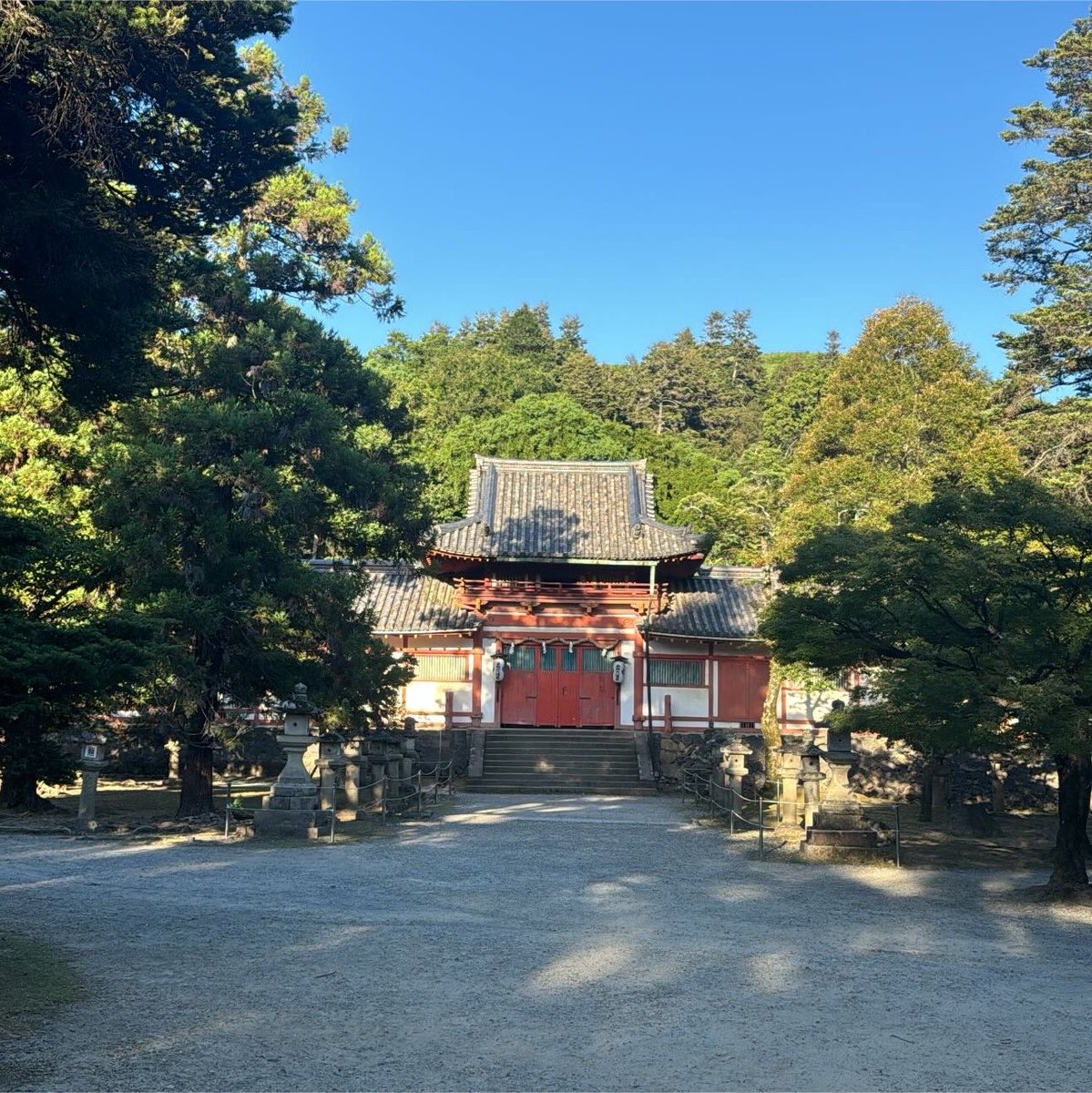 MBotb_'s tweet photo. 📍Nara 🇯🇵🦌 https://t.co/4Difx5yvKK