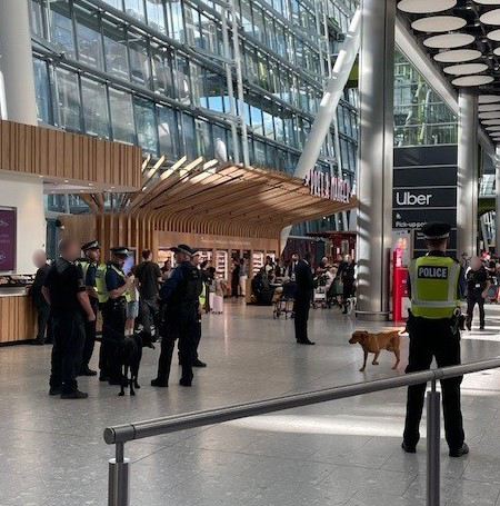MPSHillingdon's tweet photo. Specially trained #ProjectServator officers were at Heathrow Airport, working with our colleagues from @MPSHeathrow and Dog Unit. https://t.co/Segqhsy0pO