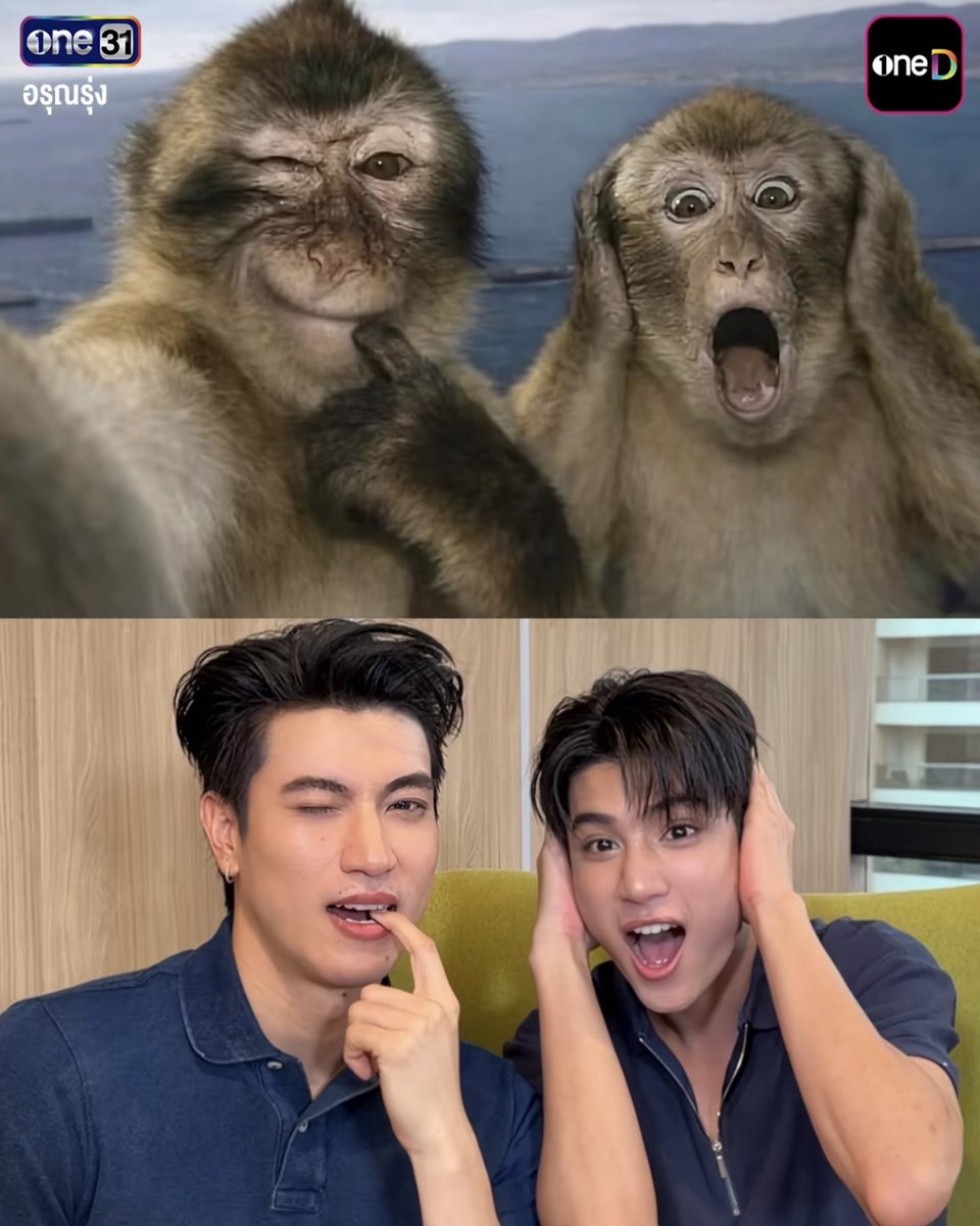 myminnxsnp's tweet photo. อ้ยย เอ็นดูน่ารักกันจังอ่ะ✨🐘🦌

꒰ #innongsa #อินองศา ꒱ https://t.co/cJIMPPFpSB