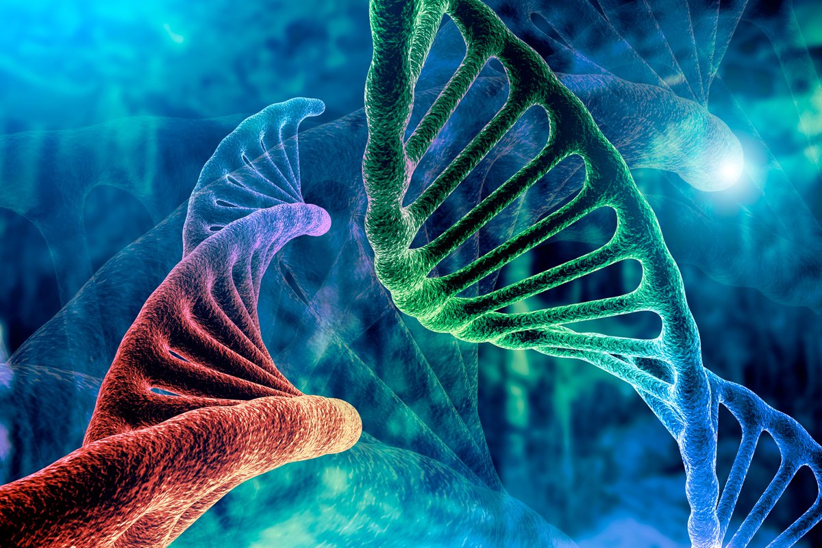 AmerigoScienti1's tweet photo. From initial sample preparation to automated cell separation and end-to-end cell therapy workflows, Amerigo Scientific provides a complete suite of solutions for cell therapy development. Automated, reliable, and designed for reproducibility. https://t.co/G8qZAxHZwD https://t.co/g8Pm92mVOT