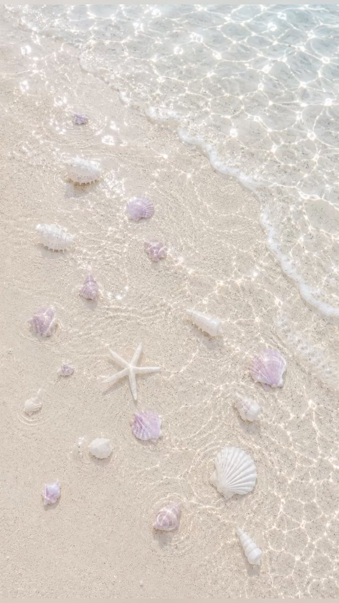 Solithra's tweet photo. 🐚 https://t.co/UX9HQmaC1O