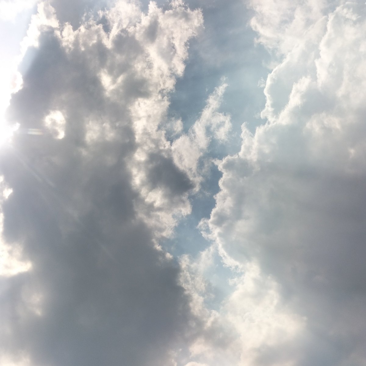 PPhonmai's tweet photo. I'm currently experiencing some issues and obstacles, so I'll be temporarily suspending greetings. I'll resume once the problems are resolved. Please take care of yourselves, everyone. https://t.co/IPYu5aHyQ5