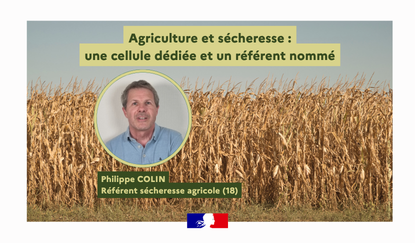 Image de Préfet du Cher - #Sécheresse #agriculture |🌾 Une cellule départementale et un référent dédié dans le Cher
Face à la