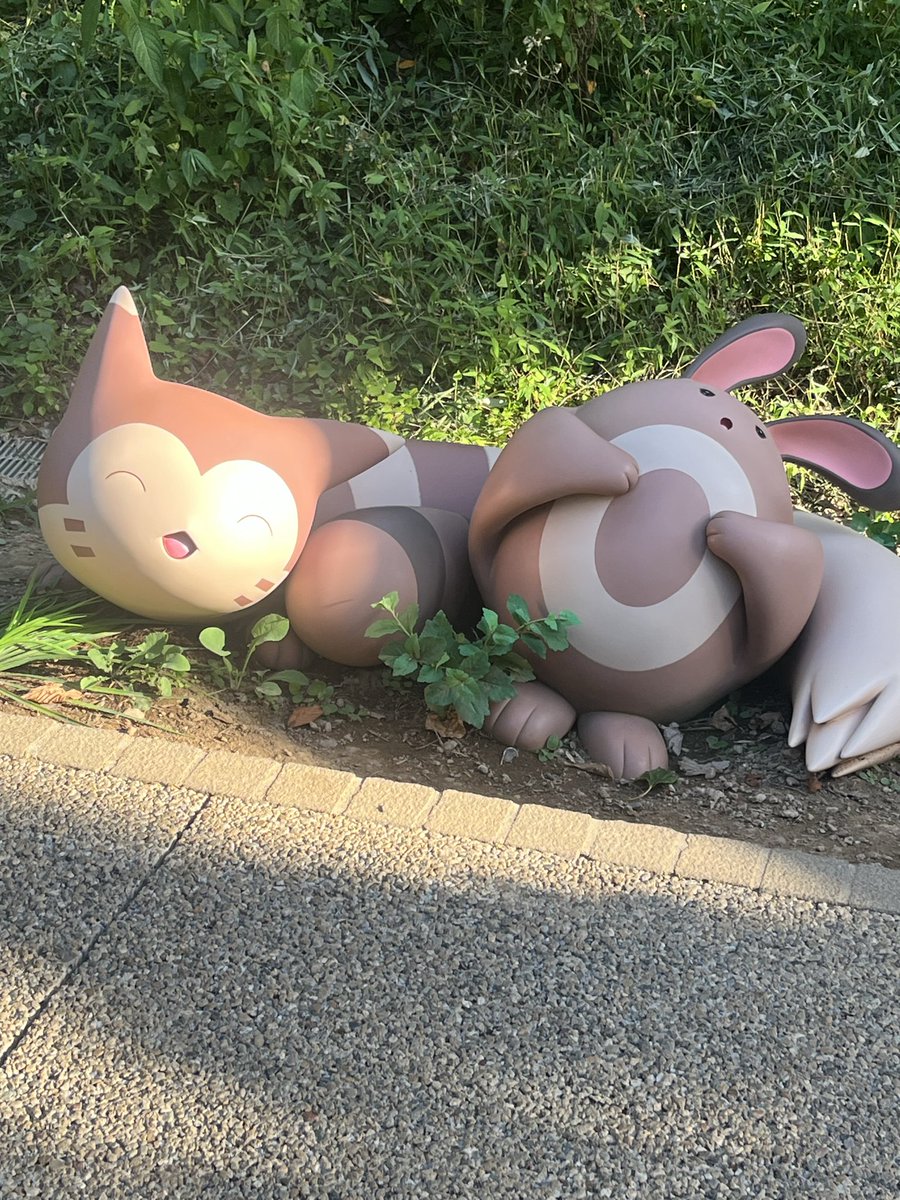 wm2_mu's tweet photo. まじで楽しすぎた https://t.co/gfVqzAKom4