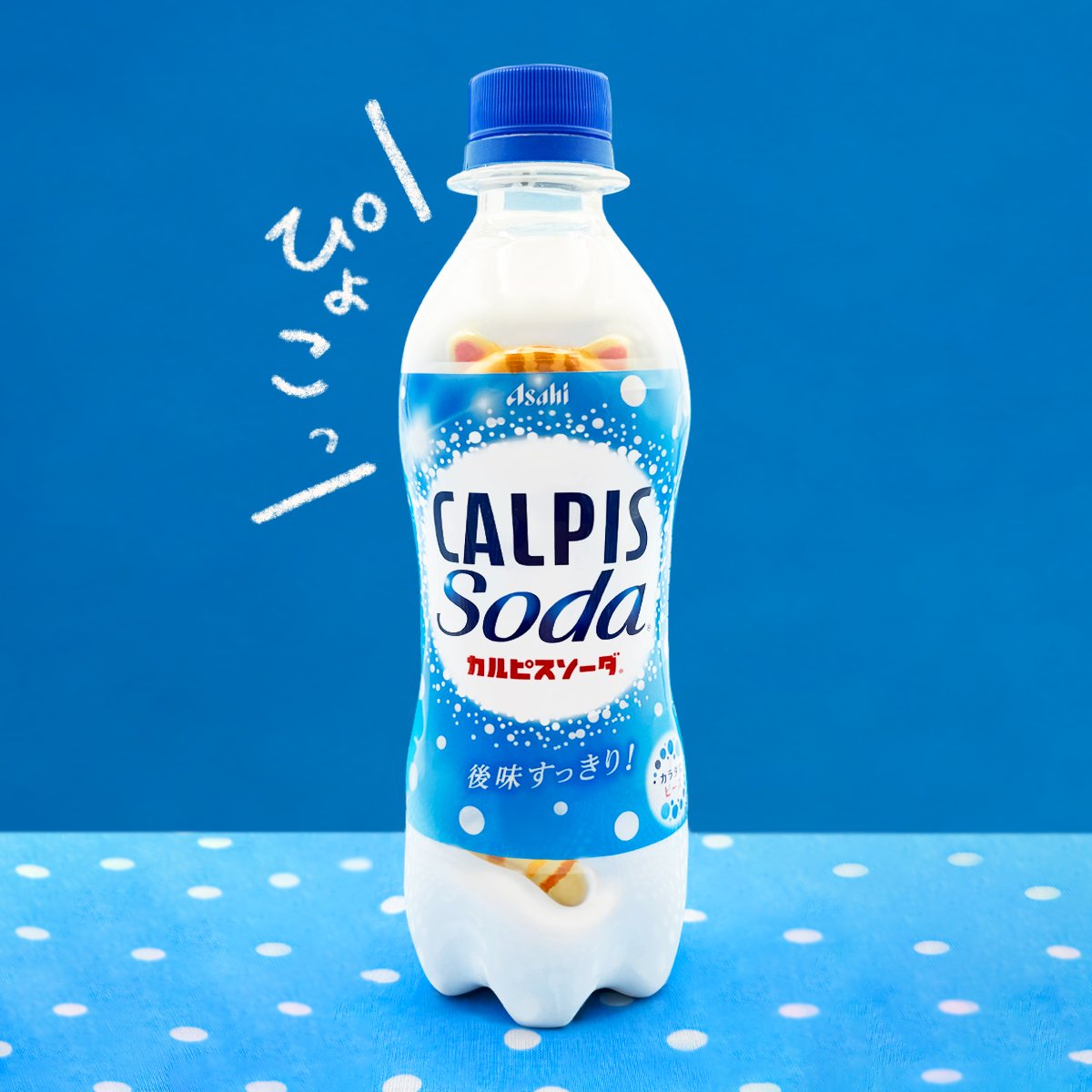 calpis_mizutama's tweet photo. 8月8日は🐈世界猫の日🐈

ラベルをぺりっと剥がすとねこが寝てる
「カルピスソーダ」のボトル作ってみたよ💙
あったらいいにゃ🐾 https://t.co/rGTzSMofws
