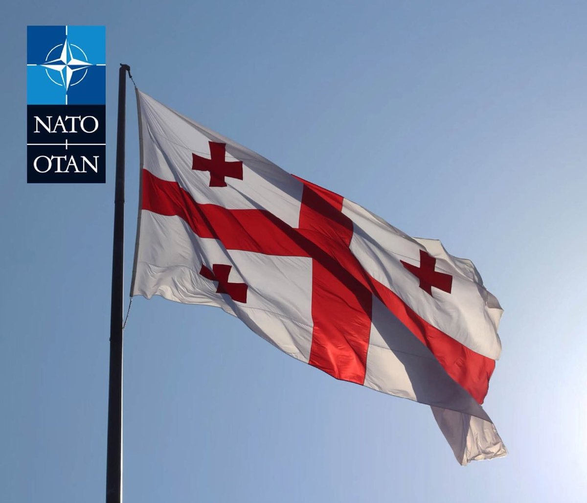 KHamiltonNATO tweet picture