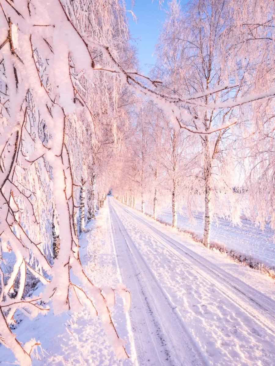 worldclick56's tweet photo. Would you like to walk down this path ?❄️ https://t.co/4Li9VbPwJd