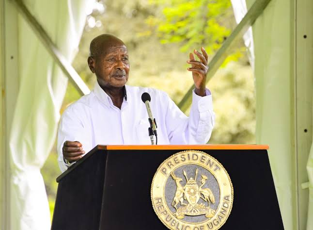 malcolmallan97's tweet photo. We must add value to our agricultural products instead of exporting raw materials and creating jobs for others.-President Yoweri Museveni
#WhyUgDecidedM7 https://t.co/rtLgoOE9SE