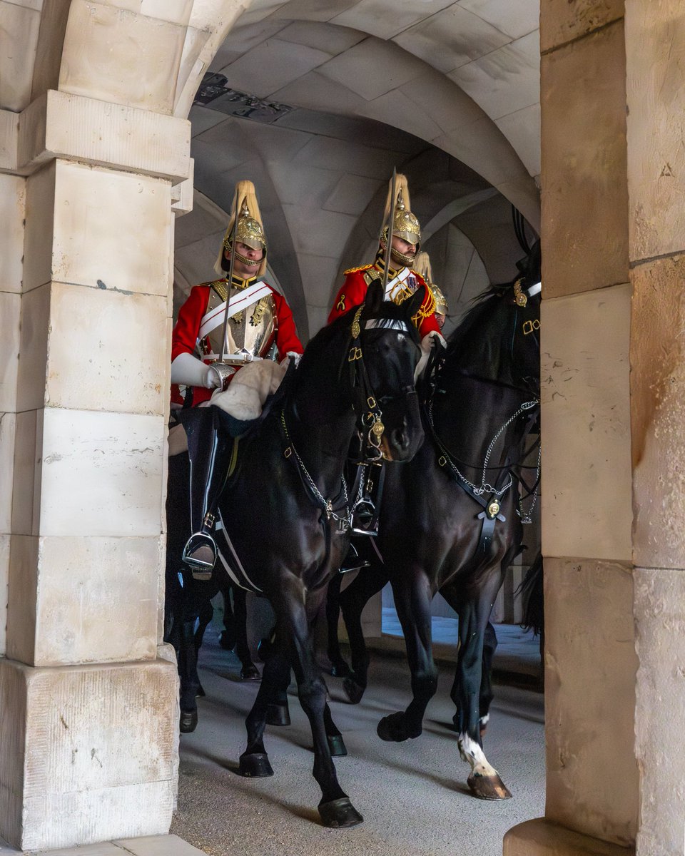 mod_dio's tweet photo. We’re working with the British Army on a deep clean of the stables at Horse Guards Parade for the Household Cavalry Mounted Regiment. As a result, they will not be undertaking ceremonial duties at Horse Guards between 17-28 August. Check @ArmyinLondon for updates. https://t.co/O4wUTmJUHC