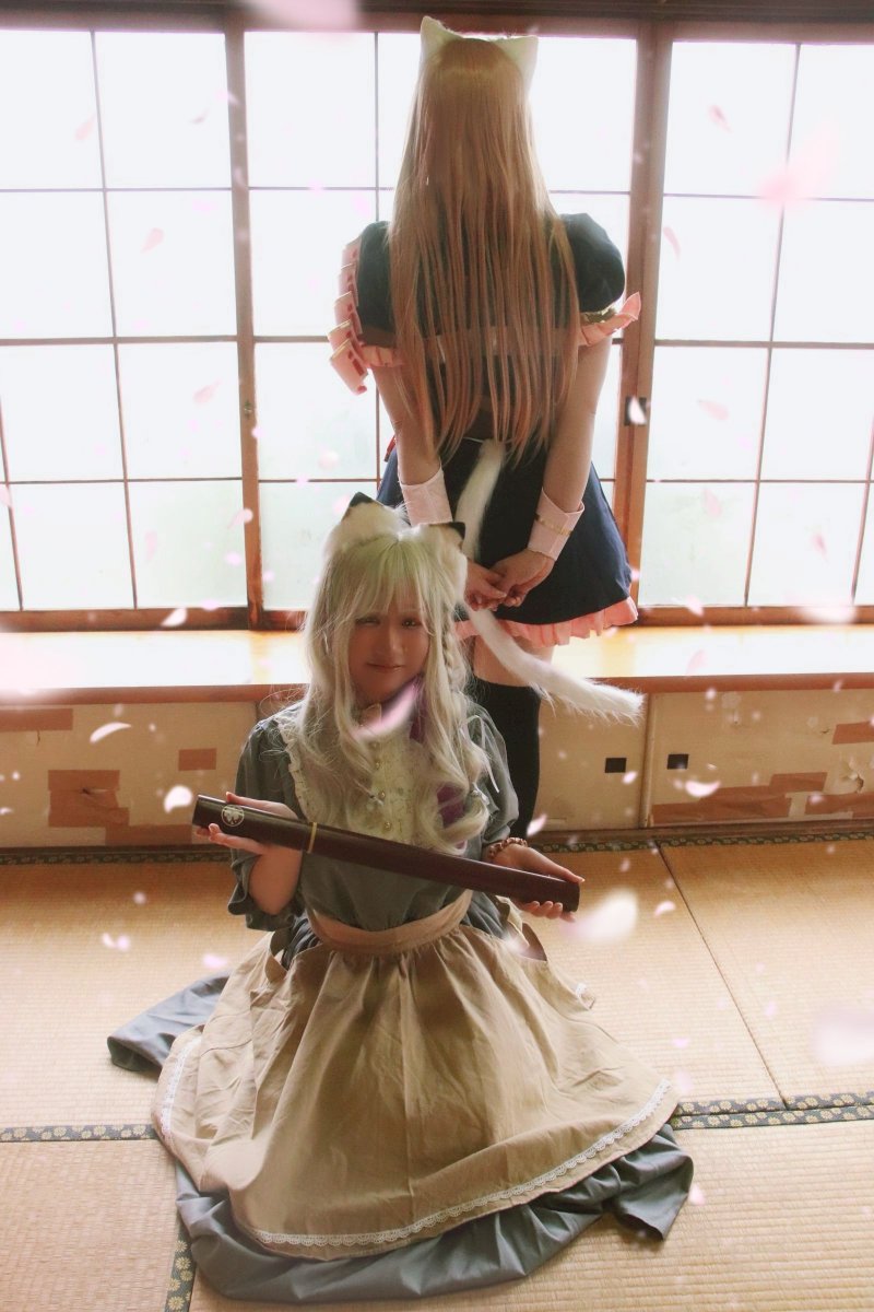 c04IKswkFy3rPfm's tweet photo. ⚠cosplay

乱i 藤i 四i 郎
　　ここに顕現
#にゃんにゃんミケ本丸0620 https://t.co/wL6vHgKemf