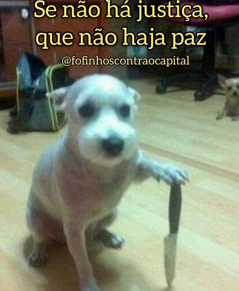 shitpostverdade's tweet photo. https://t.co/YQbH99Q0YZ