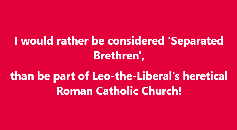 Bp_Richard_Min's tweet photo. #oldcatholic #oldcatholicchurch #catholic #catholicchurch #catholicism #catholicministries #usccb #pope #popeleo #popeleoxiv #vatican #vaticannews #bishoprichardministries https://t.co/x54S7qcKJR