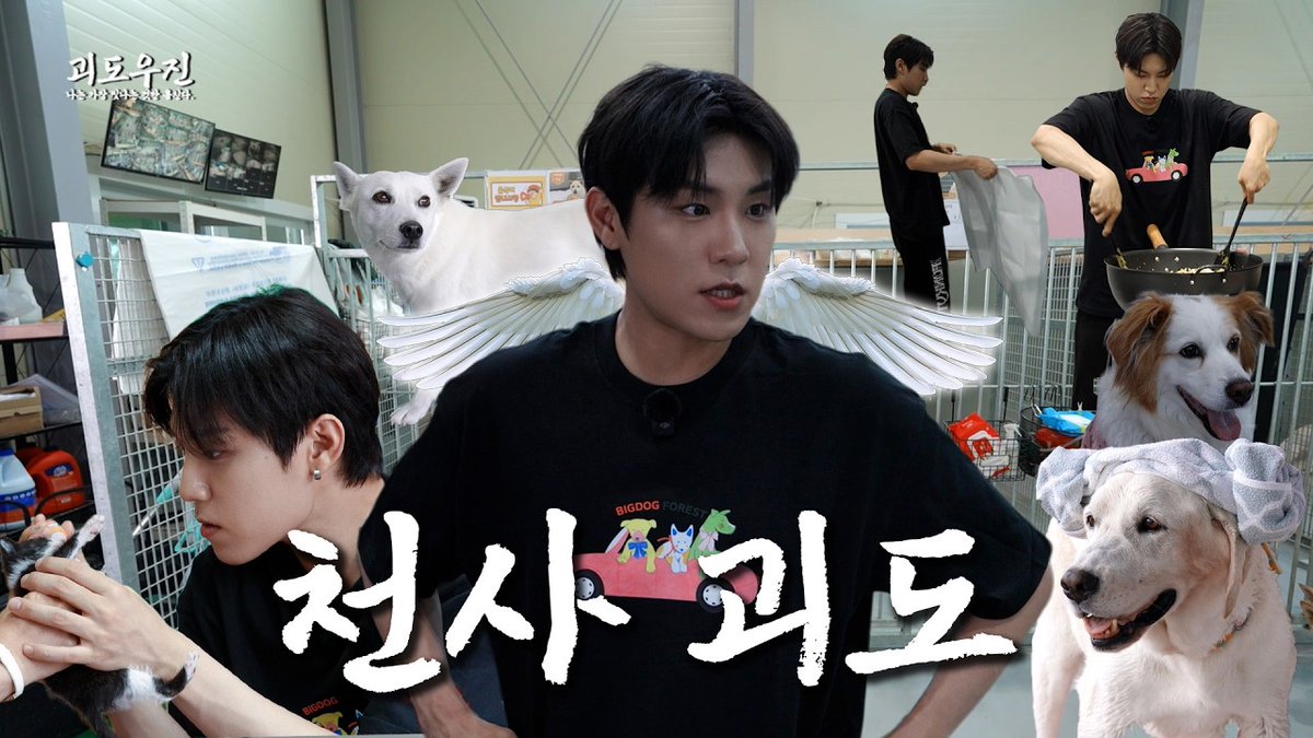PARKWOOJINoffcl's tweet photo. [🎥] 웰컴 투 멍라다이스🐶🐕 멍냥 친구들이 가족을 찾고 있어요💕 [괴도 우진] l 빅독포레스트 l Ep.16

https://t.co/zmopKKDucN

#박우진 #PARKWOOJIN 
#괴도우진 https://t.co/f5N3vmg1f5