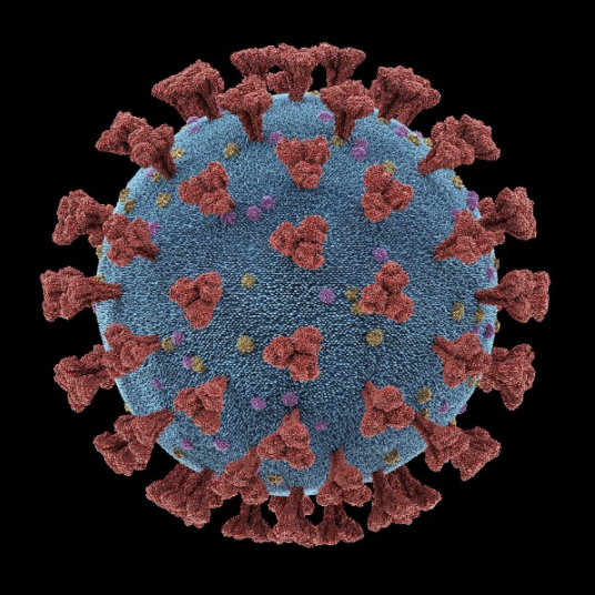 tribunephl's tweet photo. AI DESIGNS NEW VIRUSES
Scientists have used artificial intelligence to design entirely new #virus genomes that do not exist in nature, with 16 proving viable in laboratory tests, according to a study published in Science.
The AI-generated viruses infect only E. coli bacteria and cannot infect humans, raising hopes for new treatments against antibiotic-resistant infections.
#dailytribune