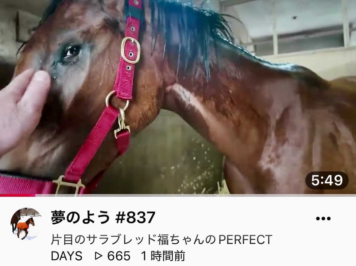mame_ade's tweet photo. 夢のよう #837 https://t.co/3Ysvojsg1S @YouTubeより https://t.co/724X5mCWqr