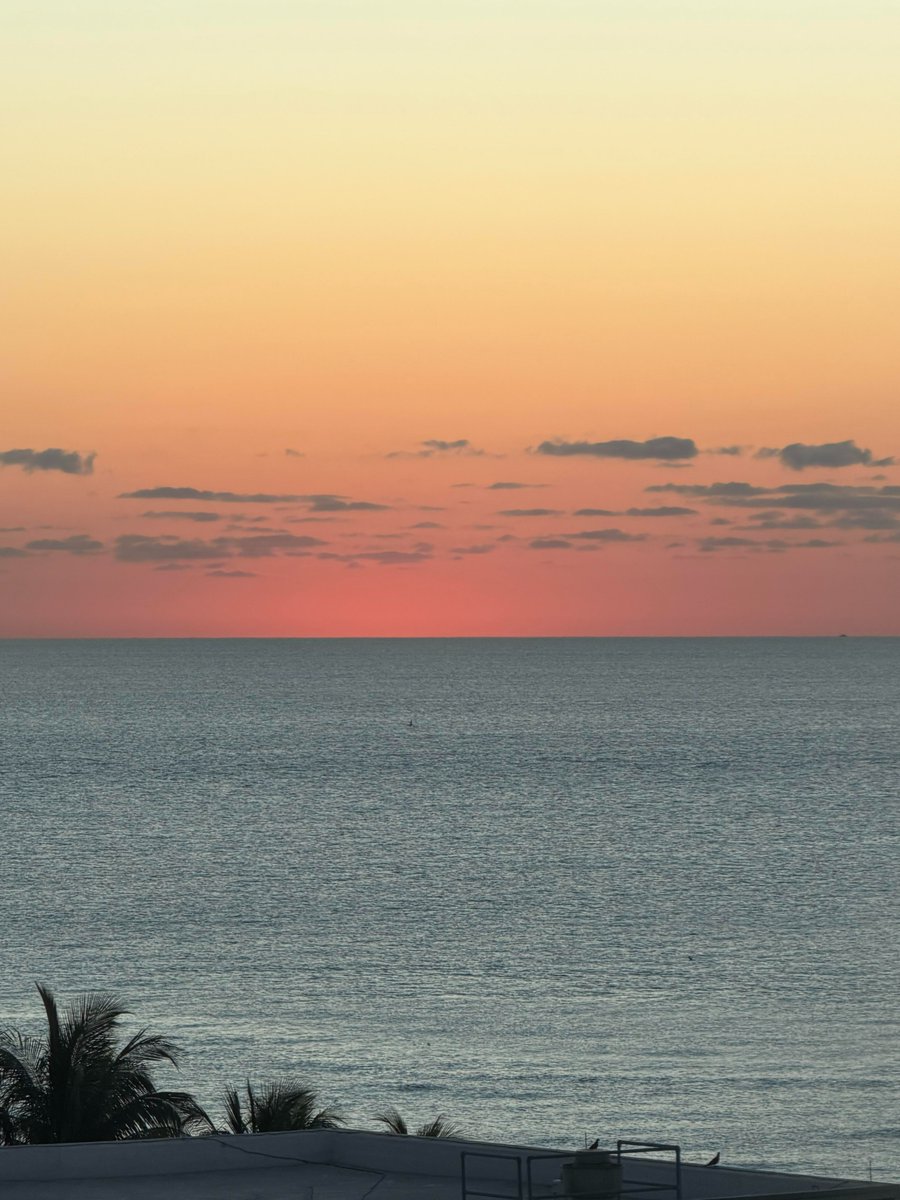 LilyBloom36's tweet photo. What the Miami Sunrise Taught Me https://t.co/CskmAOYD2S