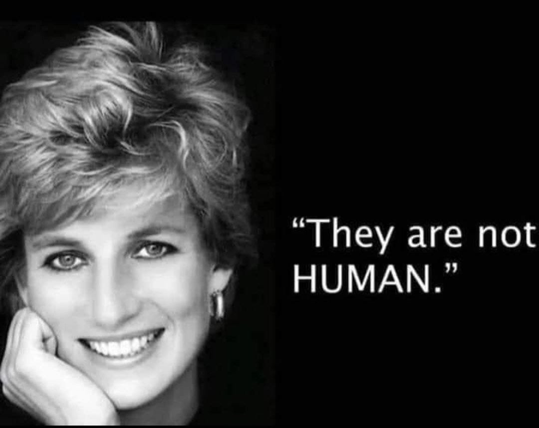 q17mega's tweet photo. She tried to warn us 😕 https://t.co/iXA2MAxhDy