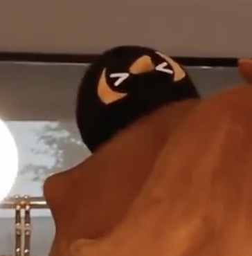 zakatao3's tweet photo. STOP STOPP YOURE SPRAYING HAIRSPRAY INTO PEANUT'S EYES SOMEONE SAVE HIMMMM https://t.co/gkCVQIdlMH