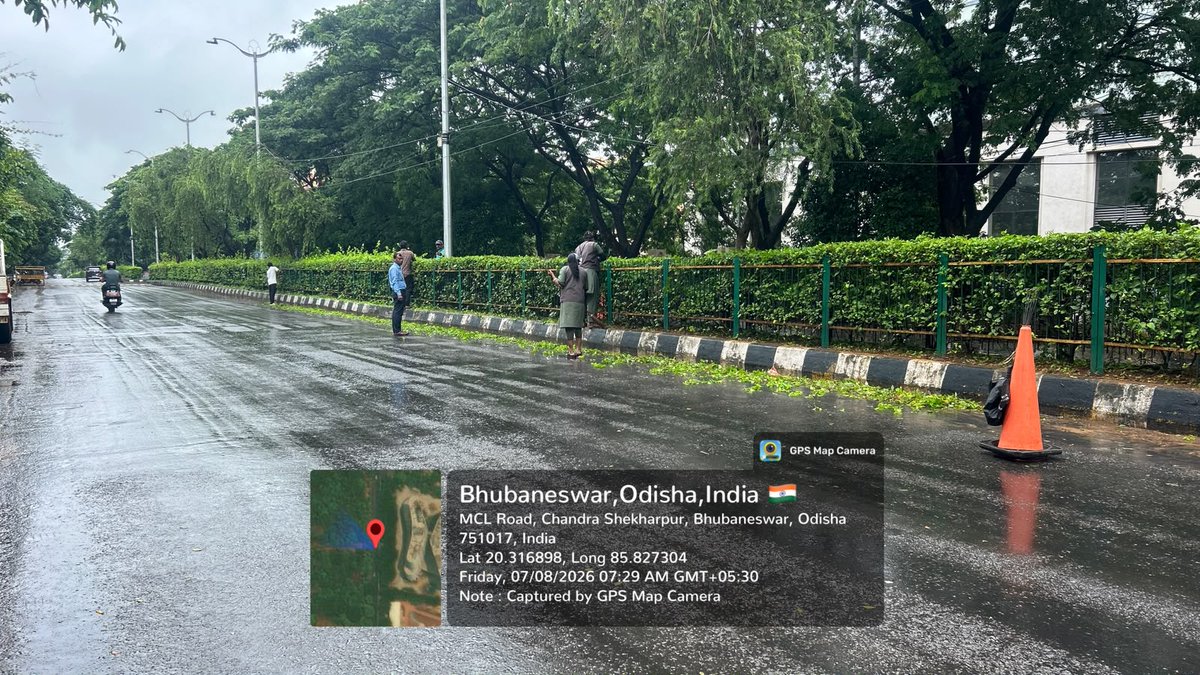 bmcbbsr's tweet photo. Keeping Bhubaneswar green and well-maintained, BMC workers are carrying out regular trimming and maintenance of median plantations across the city. These daily efforts enhance road safety, improve visibility, and ensure a cleaner, more aesthetic urban environment.
#GreenBhubaneswar #CityMaintenance #Bhubaneswar #SwachhBhubaneswar #TeamBMC