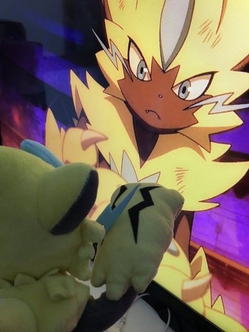 DailyZeraora's tweet photo. Happy #ZeraoraDay!
All the love for the best cat ever!!! https://t.co/7TAfoF3heL