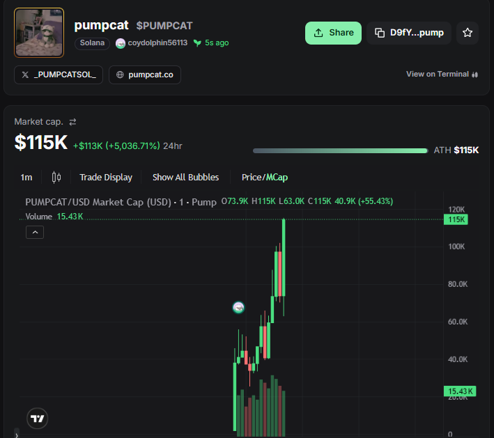 _PUMPCATSOL_'s tweet photo. 100k 

ca: D9fYiqomJZTU4C8KQJeJeBZgk9q6z83mWG1jeDtGpump

https://t.co/DLqJlswY4m https://t.co/XcK5Gdi6bW