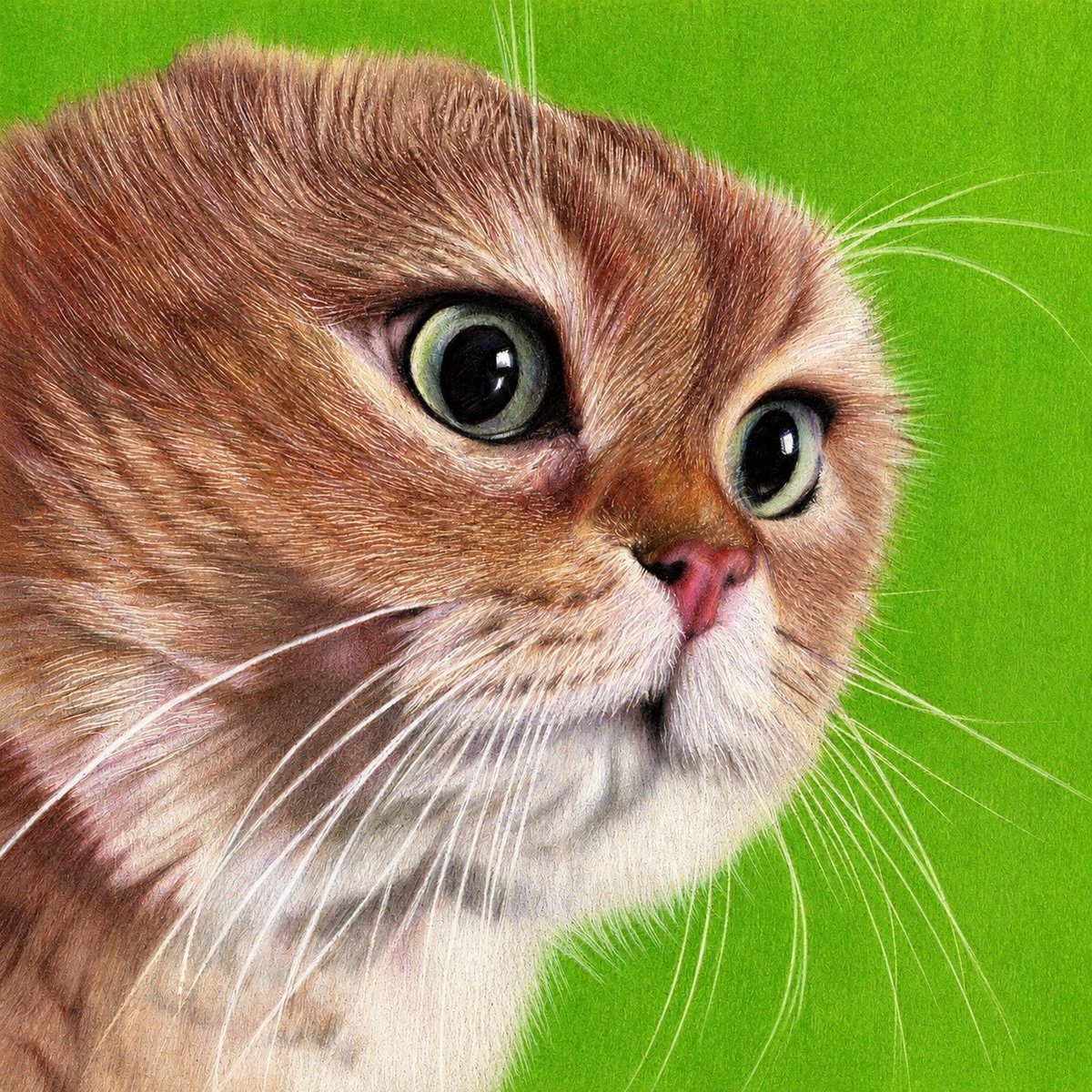 taiko7511's tweet photo. 好きすぎて、描いちゃいました😺💕

#猫ミーム #色鉛筆画 #ホルベイン https://t.co/8lIWkPSwKC