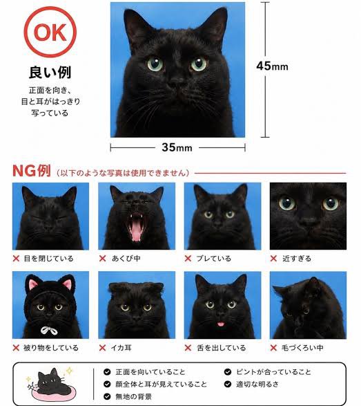 suzupj's tweet photo. https://t.co/mprXUSwGbD