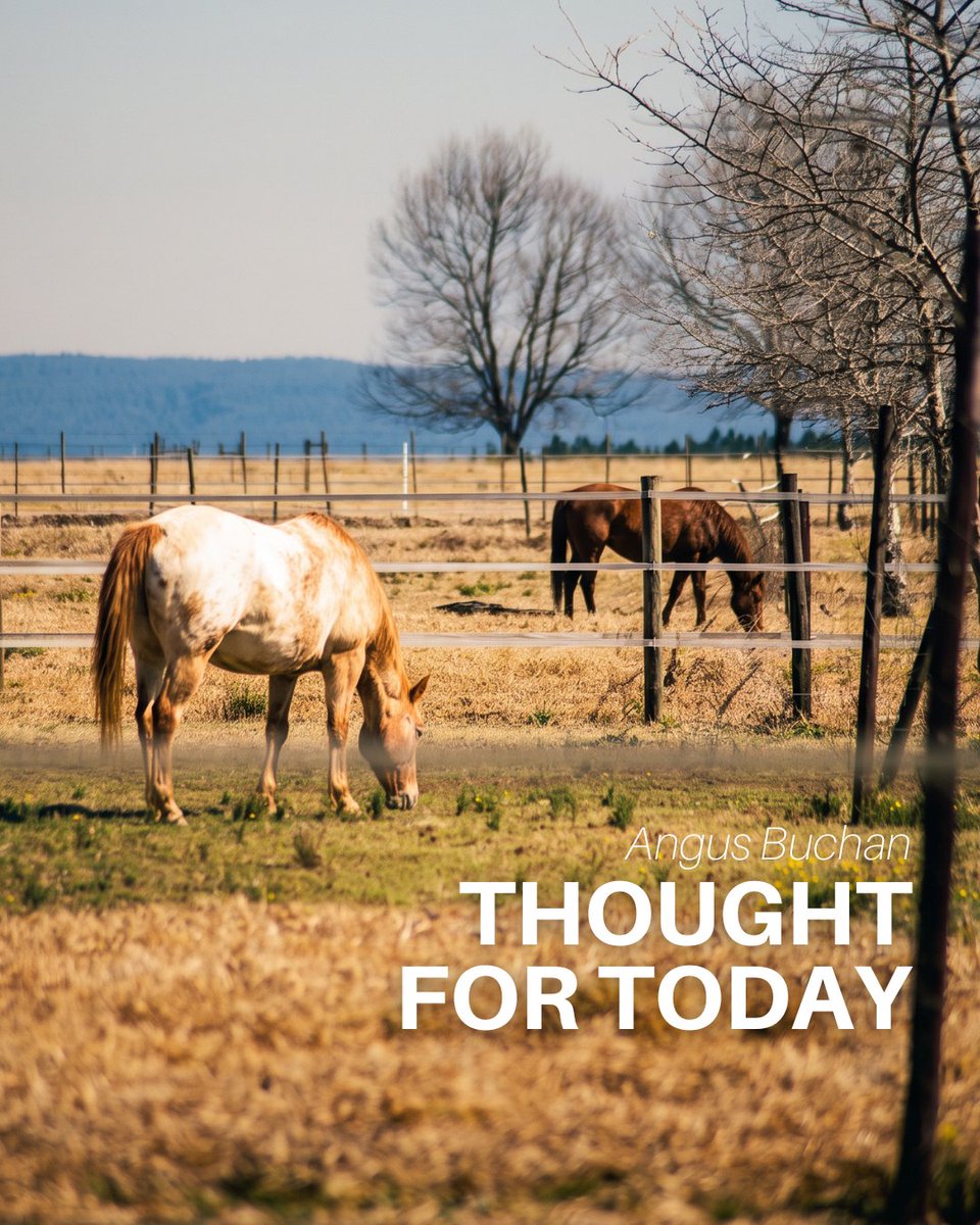 angusbuchan's tweet photo. THOUGHT FOR TODAY (Cross Over)
Don’t get comfortable. We are passing through...
.
Listen to Thought for Today on the Angus Buchan app: https://t.co/aEBASXIsUW https://t.co/Cw4exxoj4p